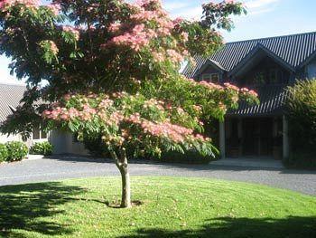 Hotel Heron Hill Kerikeri Exterior foto
